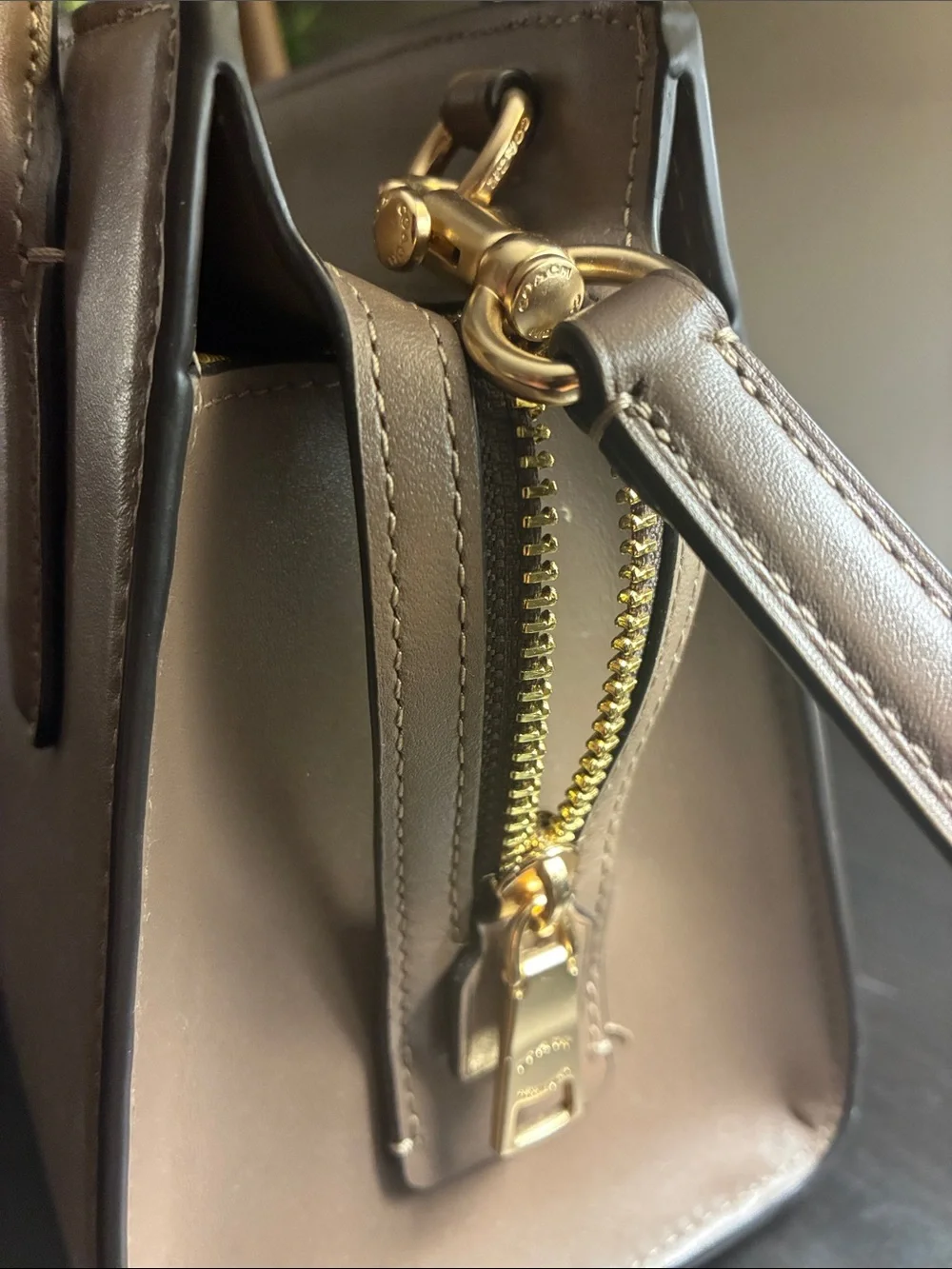 Coach Andrea Carryall Bag